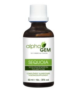 Séquoia (Sequoiadendron gigenteum) bourgeon BIO, 50 ml